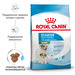 Royal Canin Mini Starter Корм для щенков мелких размеров до 2-х месяцев, беременных и кормящих сук – интернет-магазин Ле’Муррр